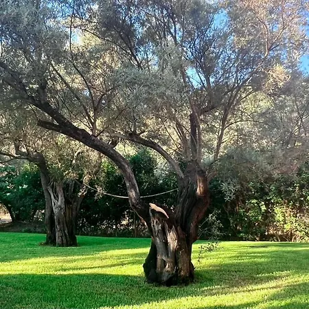 Ionian Bay 3* Λευκάδα