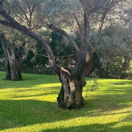 Ionian Bay Ξενοδοχείο με διαμερίσματα